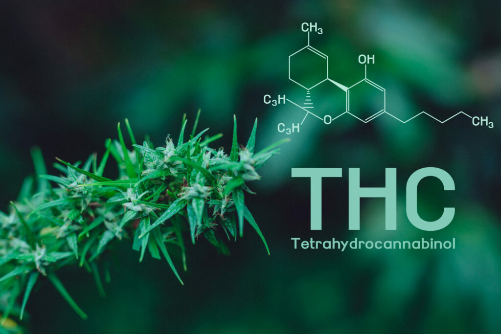 What are THC-H Products