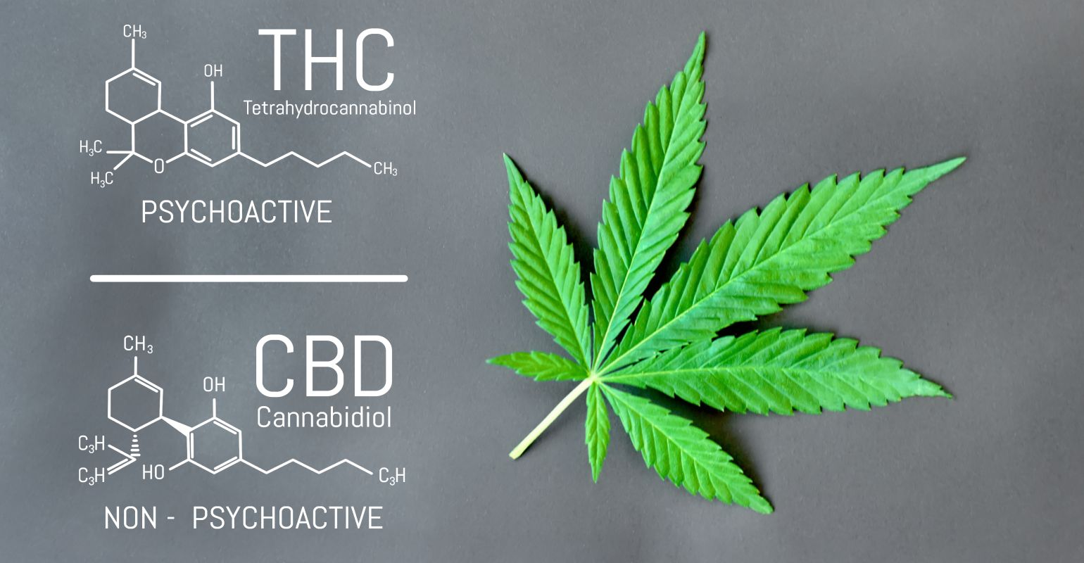 Cbd,Thc,Cannabis,Formula.,Structural,Model,Of,Cannabidiol,And,Tetrahydrocannabinol