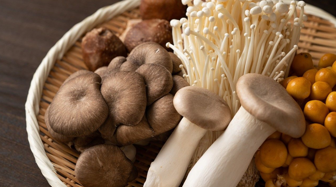 Exploring the Remarkable Benefits of Cordyceps Functional Mushrooms